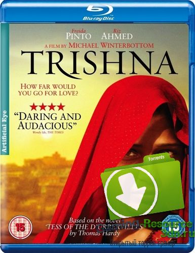 Красавица из трущоб / Trishna (2011) BDRip 720p