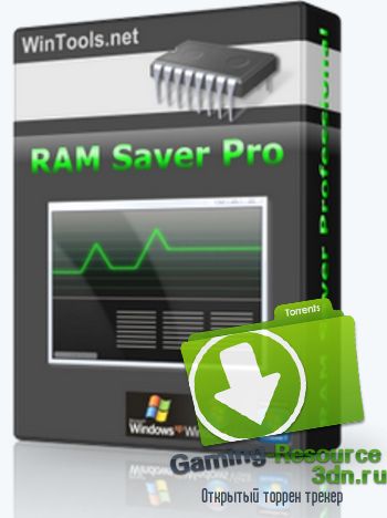 RAM Saver Professional 17.2