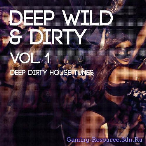 VA - Deep Wild and Dirty Volume 1 (Deep Dirty House Tunes) (2015) MP3