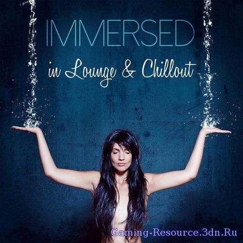 VA - Immersed in Lounge and Chillout (2015) MP3