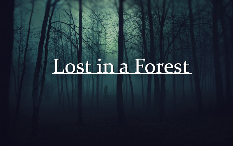 Lost in a Forest 2014