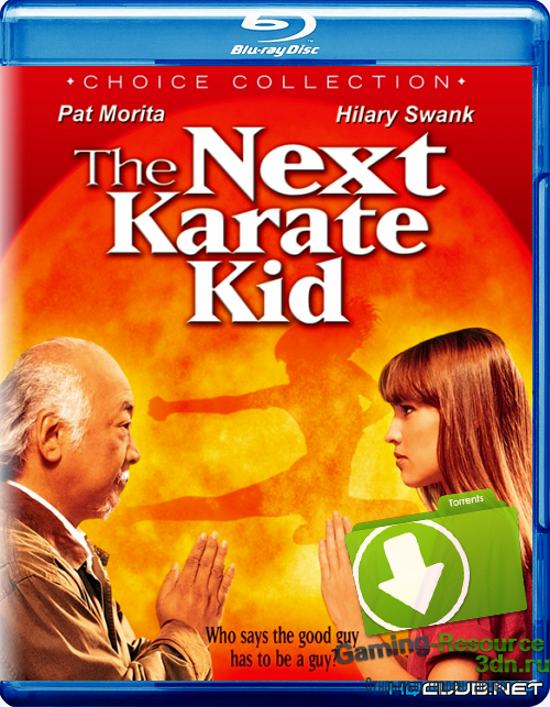 Парень-каратист 4 / Еще один малыш-каратист / The Next Karate Kid (1994) BDRip