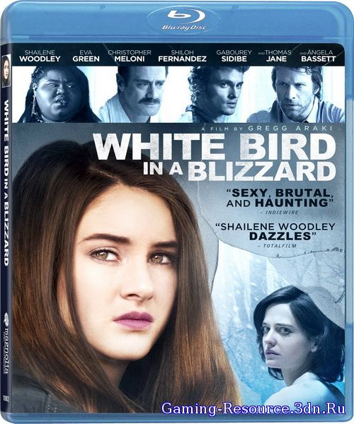 Белая птица в метели / White Bird in a Blizzard (2014) BDRip + 720p