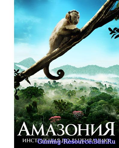 Амазония / Amazonia (2013) WEB-DL 720p